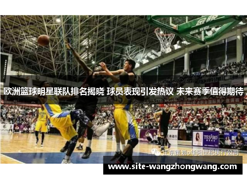 欧洲篮球明星联队排名揭晓 球员表现引发热议 未来赛季值得期待