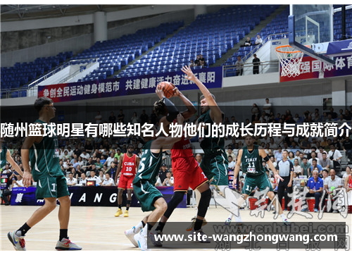 随州篮球明星有哪些知名人物他们的成长历程与成就简介