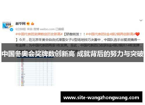 中国冬奥会奖牌数创新高 成就背后的努力与突破