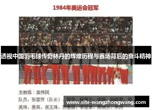 透视中国羽毛球传奇林丹的辉煌历程与赛场背后的奋斗精神