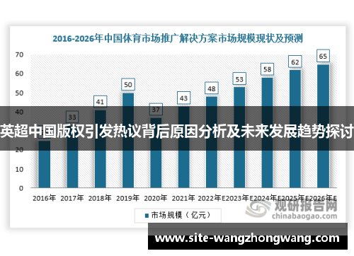 英超中国版权引发热议背后原因分析及未来发展趋势探讨