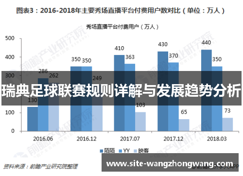 瑞典足球联赛规则详解与发展趋势分析